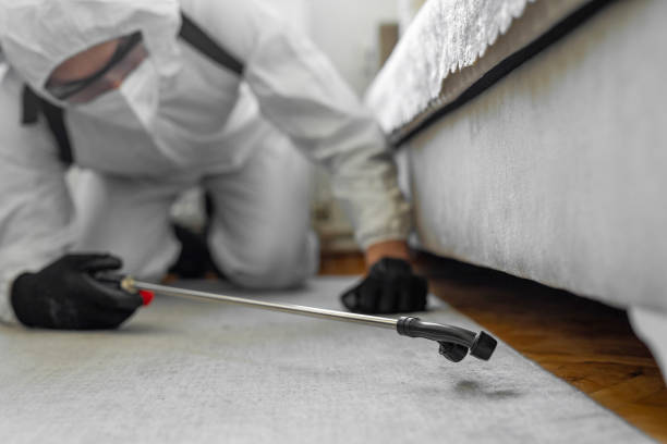Professional Bed Bug Control technician working in Hudson Lake, IN