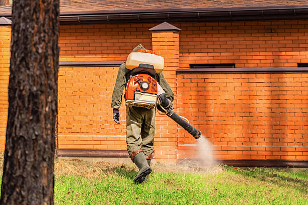 Trusted Termite Control service in Hudson Lake, IN - Nex Pest Control